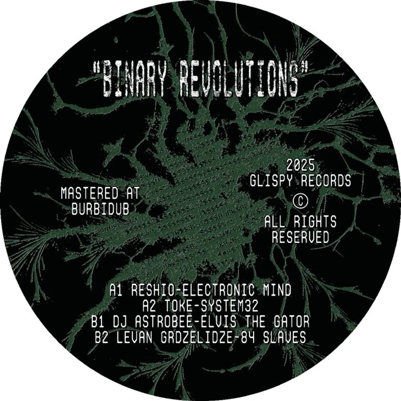 Various - Binary Revolutions